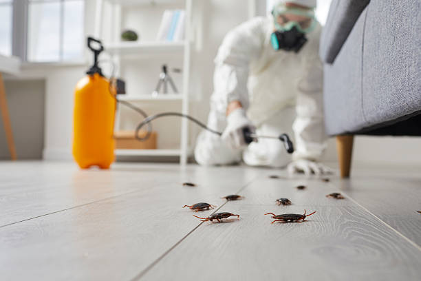 Commercial Kitchen Cockroach Control in Butler